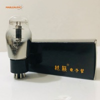 Amplificador Profesional LinLai 6SL7, Tubo de Vacío Electrónico para Radio, Audio y Televisión