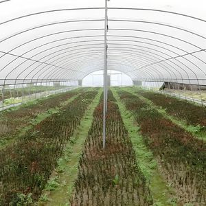 Equipo para Invernaderos Agrícolas, Estructura de Acero Galvanizado Resistente, Invernadero de Bajo Costo, Construcción Agrícola, Estructura de Acero - Product Image 1