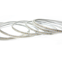 Bande lumineuse led sans fil 220V SMD 2835 120led 180led par mètre Bande flexible étanche extérieure