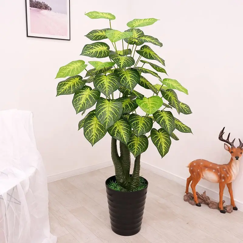 140 cm/Taro con nucleo giallo