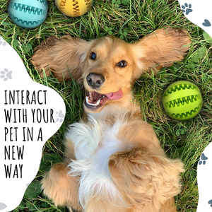 Fabricant OEM ODM de jouets interactifs pour animaux de compagnie : Balle magique roulante pour chien, jouet à mâcher et distributeur de friandises à alimentation lente - Product Image 2