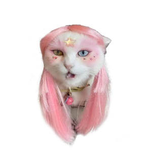 Nouvelle perruque pour animaux de compagnie rose longue et droite universelle, solide, pour chats et chiens, peut être attachée, à porter en été et en hiver, moins de miaulement, costume de perruque pour chat - Product Image 2