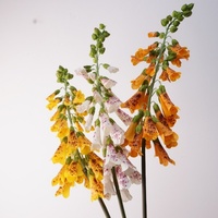 Nouvelle Arrivée 2026 – Fleurs Artificielles Campanula Bell en Latex Effet Naturel pour Décorations de Mariage et Décoration Intérieure
