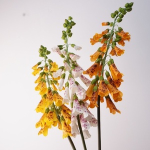 Nuovi Arrivi 2026: Fiori Artificiali di Campanula in Lattice Effetto Reale per Decorazioni Matrimoniali e Arredamento Casa - Product Image 1