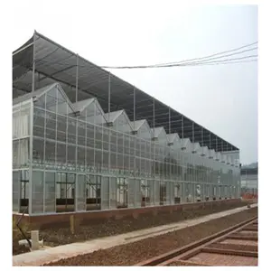 Desert and semi-arid greenhouse for tomato lettuce strawberry