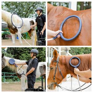 1000-600 Gauss avec <span class=keywords><strong>tapis</strong></span> Paddle PEMF Magnetic Therapy Device PMST LOOP for Horse Animal Care China PEMF Loop PEMF Mat - Product Image 1