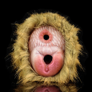 YOCY Fantasy African Gorilla Realistic Pussy Liquid Silicone Fantasy Plush Monster Male Masturbation Cup Adult Sex Toys for Men - Product Image 2