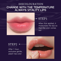 Baume à lèvres minéral waterproof hydratant longue durée, personnalisable avec logo OEM, maquillage des lèvres, rouge à lèvres coloré