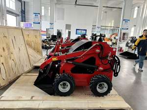 Cargadora de Ruedas de Nuevo Diseño con Accesorios, Minicargadora Compacta de 1t en Venta - Product Image 4