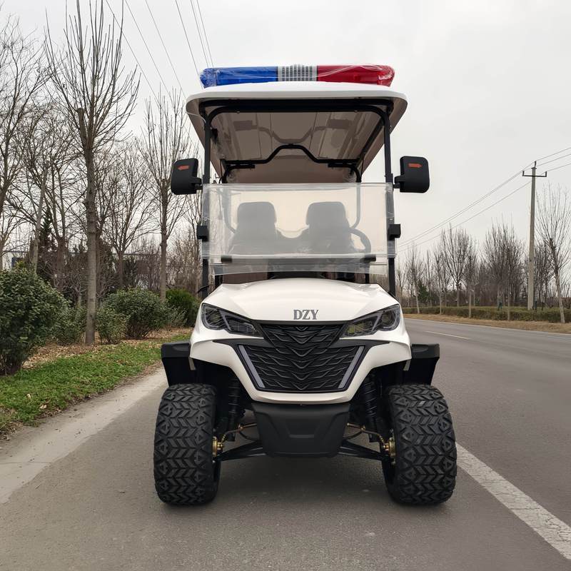Export style luxury Electric Golf Carts