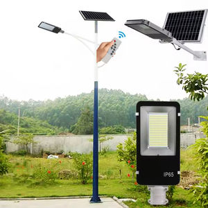 Lampadaire solaire intégré pour les nouveaux projets de construction rurale, luminaire de cour, vente directe d'usine - Product Image 5