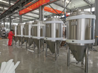 Équipement de brasserie de bière à chauffage électrique 300L Mini Pub Bar Système de brasserie de bière au bioéthanol avec ensemble complet d'accessoires