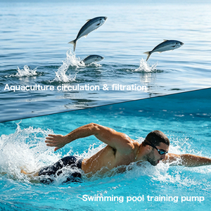 Pompe d'entraînement haute pression WASSERMANN Odm Oem pour système de nage <span class=keywords><strong>contre</strong></span>-<span class=keywords><strong>courant</strong></span> - Product Image 3