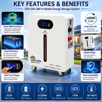 Batterie de stockage d'énergie mobile LiFePO4 6000 cycles 5,12 kWh 25,6 V 200 Ah avec BMS intelligent pour l'alimentation de secours solaire domestique