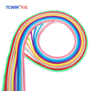 Bande lumineuse LED néon flexible Tcwin 12V, couleur RVB personnalisée, néon flexible en silicone pour logo <span class=keywords><strong>extérieur</strong></span> - Product Image 4