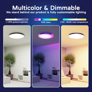 ไฟเพดาน Rgbcw บางเฉียบ 30W พร้อมสมาร์ทไวไฟและรีโมทคอนโทรล - Product Image 3