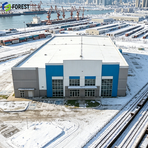 Parque Logístico de Estructura de Acero, Entreplanta de Varios Pisos, Contratista, Fabricante OEM, Gestión de Inventario Robusta y Duradera - Product Image 1