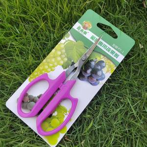 Ciseaux de taille-vigne Farmer's Joy 10-20 mm en acier inoxydable avec poignée orange, ciseaux de jardinage multifonctionnels - Product Image 3