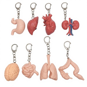 Modèle d'organes internes simulés : Cœur, Foie, Rate, <span class=keywords><strong>Poumon</strong></span> et Rein – Modèle anatomique cardiaque pédagogique avec pendentif porte-clés - Product Image 1