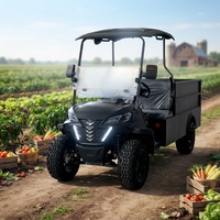 Voiturette de golf électrique 2 places avec coffre arrière, batterie au lithium, homologuée CE, pour le transport de marchandises dans les centres de villégiature et les parcs.
