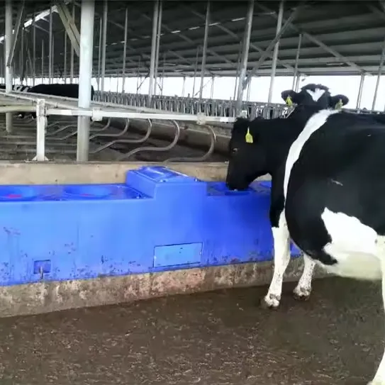 Blue Plastic Trough With Cover Large Capacity Constant Temperature Cow Water Drinker