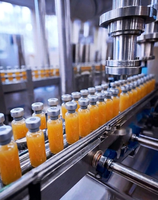 Sapextractie productielijn hydraulische pers fruitpersmachines sap homogenisatie verwerkingslijn dranken