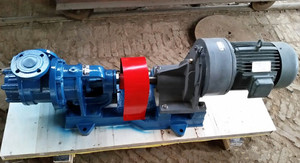NYP High Viscous Fluid <b>Grease</b> Internal Gear Oil Transfer Pump NYP High Viscosity Pump NYP - Product Image 2