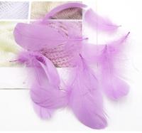 Plumes d'oie naturelles pour l'artisanat, le bricolage, les stylos, les coiffes, les costumes, les chapeaux, les accessoires pour cheveux, les décorations de carnaval, de fête et de mariage