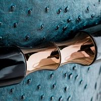 Chaises dinantes de luxe modernes élégantes, parfaites pour votre restaurant dinant la chaise arrière