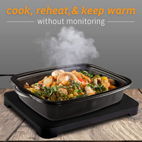 Four électrique portable 12V pour réchauffer les aliments en voiture Équipement thermique pour réchauffer la boîte à lunch Boîte à lunch d'aliments crus congelés dans un fourre-tout