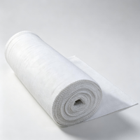Tissu en fibre céramique haute résistance pour l'isolation des joints à haute température, avec une excellente capacité de rétention de chaleur et des propriétés ignifuges