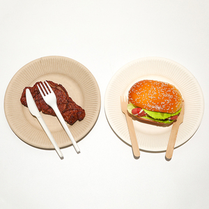 Al por mayor desechables biodegradables cocina <span class=keywords><strong>restaurante</strong></span> <span class=keywords><strong>bagazo</strong></span> de caña vajilla bandeja de comida - Product Image 5