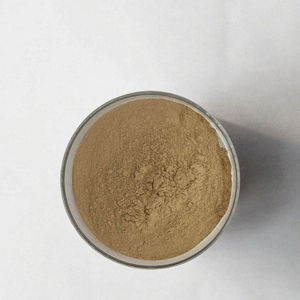 <span class=keywords><strong>Arctostaphylos</strong></span>/Poudre d'acide ursolique Extrait de feuille de busserole Extrait de feuille d'Uva Ursi - Product Image 6