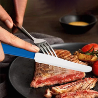 Ensemble de 6 couteaux à steak dentelés à finition miroir, en acier inoxydable, manche en PP, boîte couleur polie