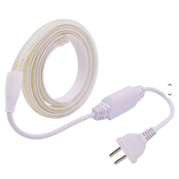 Bande LED flexible FPC Cob 220V 10mm 10W/M, étanche IP65, blanc chaud, CRI 90, contrôle tactile, USB, éclairage intérieur