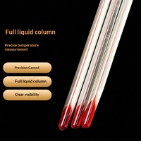 Thermomètres à eau en gros certifiés à l'alcool, avec liquide rouge et tige en verre, pour impression, cuisson et peinture, fonctionnalités 0-100