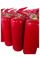Extincteur à poudre sèche multi-usage portable en acier inoxydable de 1 kg, prix direct usine
