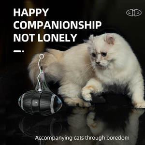 Nuevo diseño, juguetes de bolas para gatos ecológicos, multifunción, interactivo y de movimiento, suministros para mascotas, coche de equilibrio chirriante con hierba gatera - Product Image 4