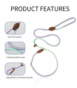 Tali anjing nilon dapat diatur, kerah hewan peliharaan, nyaman, empuk, berjalan, tali anjing tahan lama, warna-warni, tahan ledakan, pita rantai P, anjing antiselip - Product Image 4