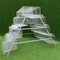 Cage à poules pondeuses de type A, équipement de batterie avicole galvanisé à chaud, poulaillers 3/4 niveaux pour l'élevage