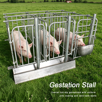 Cages de gestation pour truies en promotion – Étables de gestation pour porcs – Cages de gestation pour truies