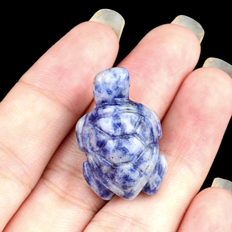 Tortuga de punto azul