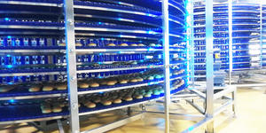 Four tunnel industriel 24000 pcs/h/chaîne de production d'hamburger - Product Image 5