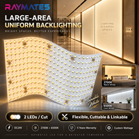 Plaque LED modulaire Raymates Flex CCT Tunable DC 24V pour éclairage de comptoir en marbre, pour usage en entrepôt, avec indice de protection IP20