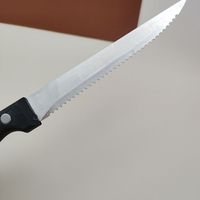Couteau à éplucher dentelé en acier inoxydable 430, couteau à découper pour barbecue, couteau à steak poli miroir avec manche en plastique pour la maison et les cadeaux