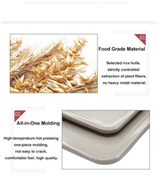 Accessoires d'équipement de cuisine, planche à découper carrée en écorce de riz écologique pour légumes, fruits et viande - Antibactérienne, légère