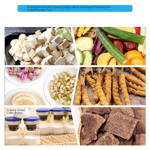 Lyophilisateur sous vide Machine Ménage Petit Bonbon Aliments Pour Animaux Viande Fruits Légumes 6kg Séchoir Équipement - Product Image 3