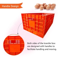 YYC Caisses de rangement pliables en plastique de haute qualité, paniers à légumes et fruits, caisses de transport pliables pour œufs