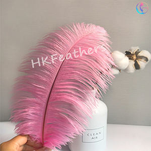 Plumes d'<span class=keywords><strong>autruche</strong></span> colorées plumeuses de 30 à 35cm frappantes pour les mariages à thème, les actes burlesques, les écrans muraux au néon - Product Image 3