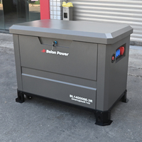Générateur au gaz naturel 15-20KW à 2 cylindres, ultra silencieux, avec double enveloppe, AVR, vente en gros pour usage agricole